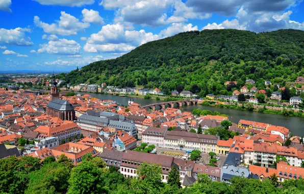 River, home, roof, panorama, Heidelberg