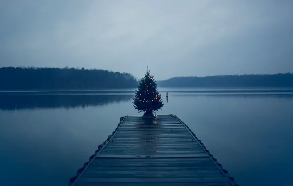 Forest, water, clouds, tree, lights, Lake, pierce