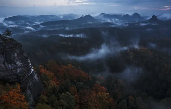 Autumn, forest, the sky, clouds, mountains, nature, rocks, haze