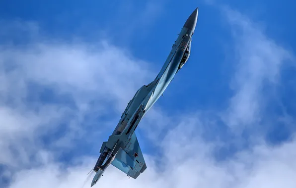 Picture Cobra, Su-35, aerobatic team, aerobatics, The Russian air force, "Falcons Of Russia"