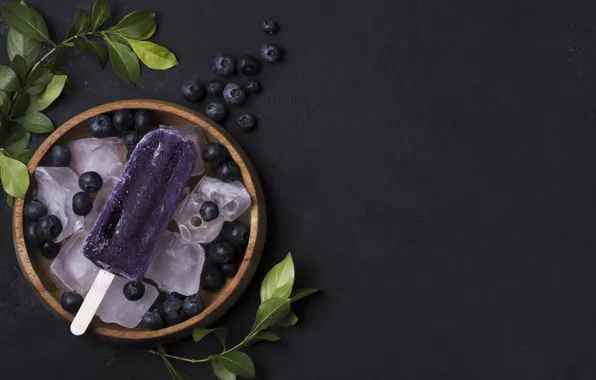 Leaves, the dark background, blueberries, ice cream, bowl, dessert, delicious, on a stick
