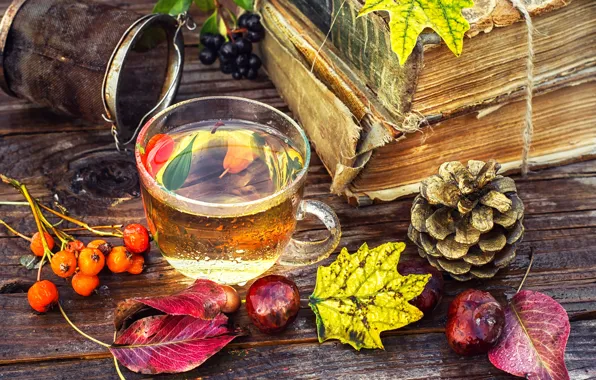 Leaves, berries, tea, Board, Cup, book, bumps, Rowan