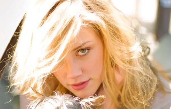 Dog, Amber Heard, Amber Heard, Allure