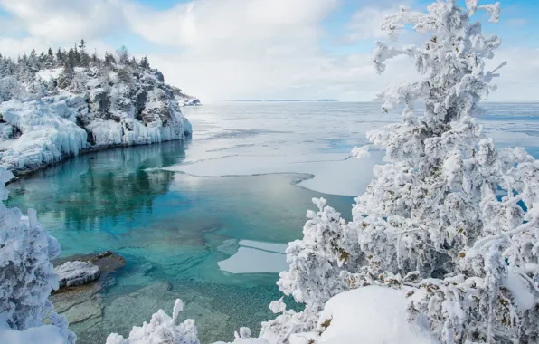 Picture winter, snow, tree, ice, Canada, Bay, Ontario, Canada