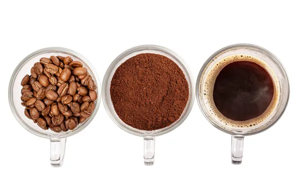 Coffee, grain, Cup, drink