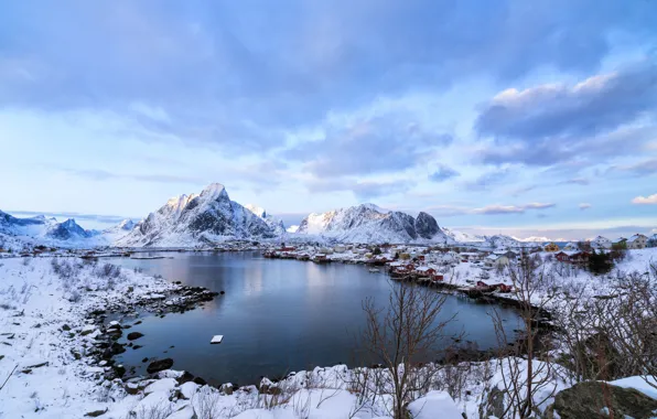 Picture winter, sea, snow, mountains, home, Norway, the village, Lofoten