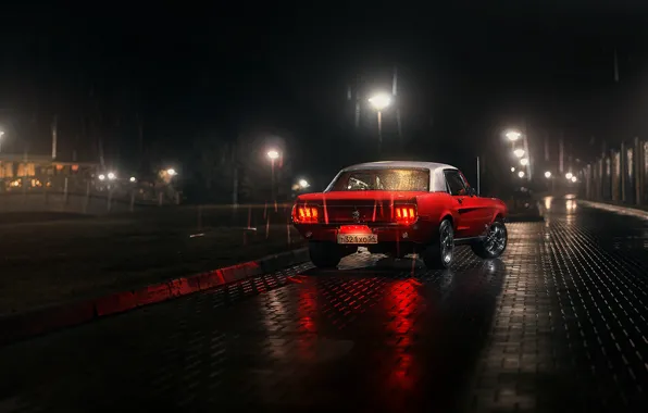 White, red, reflection, rain, lamp, Mustang, Ford, back