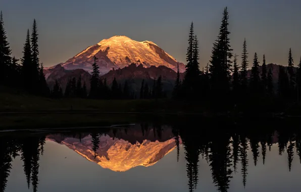 Picture forest, mountains, night, river