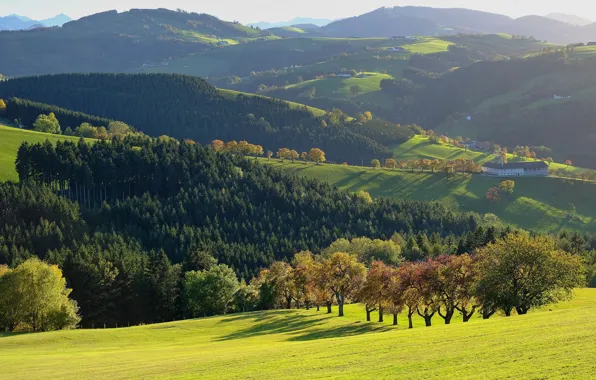 Picture field, autumn, forest, light, trees, mountains, fog, hills