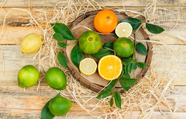 Leaves, branches, Board, oranges, lime, fruit, citrus, different