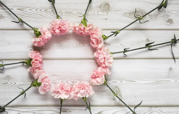 Flowers, pink, wood, pink, carnation, flowers