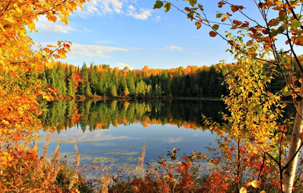 Autumn, the sky, leaves, clouds, trees, lake, pond, Autumn