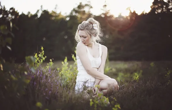 Picture grass, girl, flowers, glade, morning, blonde