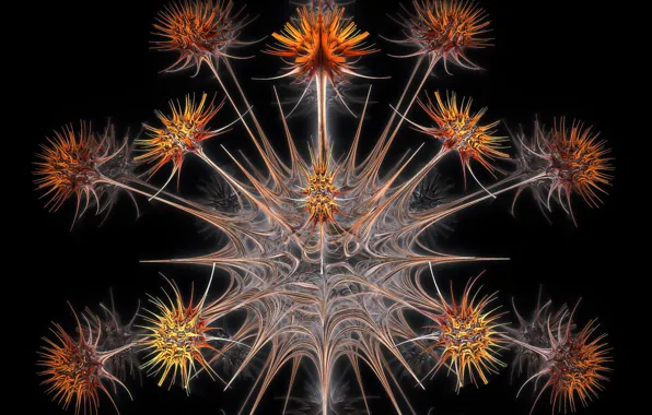 Abstraction, color, form, Digital dandelions