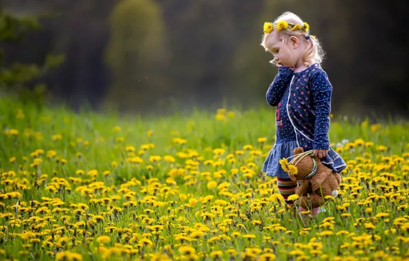 Summer, bear, girl, dandelions