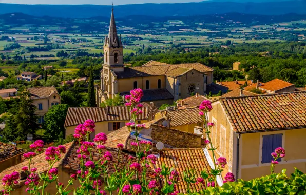Picture roof, field, summer, the sun, trees, flowers, mountains, France