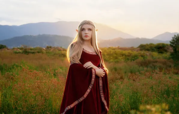 Picture girl, cosplay, elf, costume