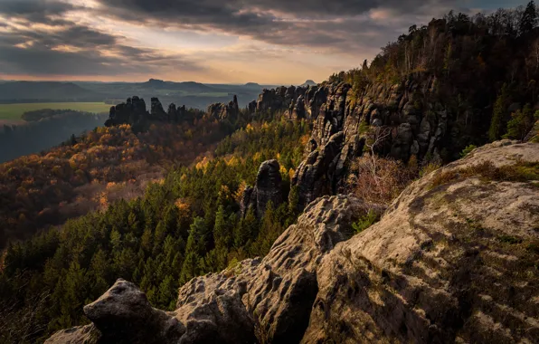 Wallpaper forest, mountains, stones, rocks, Elbe Sandstone mountains ...