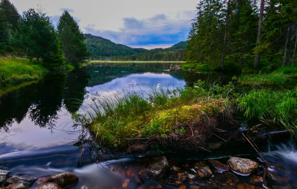 Picture forest, clouds, reflection, stones, shore, vegetation, moss, ate