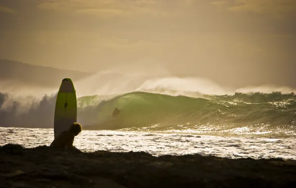 Wave, beach, squirt, the ocean, Board, surfing, surfing