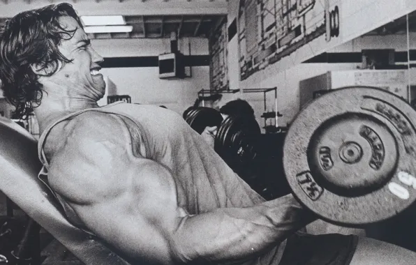 Man, actor, Arnold Schwarzenegger, rocking, the gym, dumbbells, Arnold Schwarzenegger