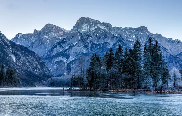 Forest, trees, mountains, lake, blue, rocks, Austria, Almsee