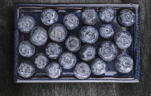Berries, blueberries, fresh, blueberry, blueberries, berries