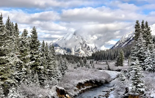 Alberta, Mt Engadine, Snowy Autumn