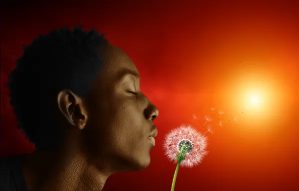 Play, sunset, relaxing, blowing dandelions