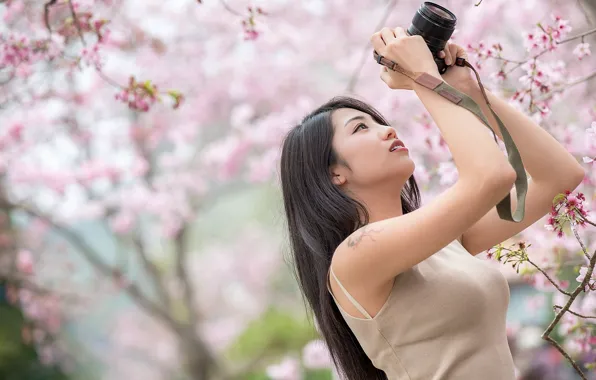Girl, spring, camera, Asian, flowering, cutie