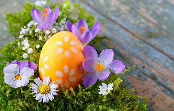 Flowers, egg, Easter, crocuses, flowers, spring, easter