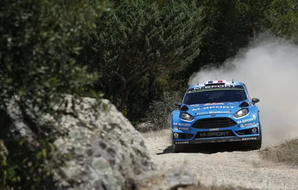 Ford, Ford, WRC, Fiesta, The front