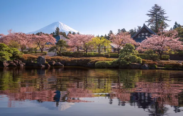 Trees, nature, pond, Park, reflection, stones, mountain, home