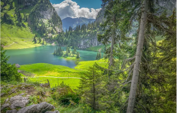 Lake, island, Switzerland, Hinterstocker