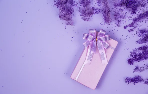 Flowers, box, gift, placer, bow, March 8, lilac, Valentine's Day