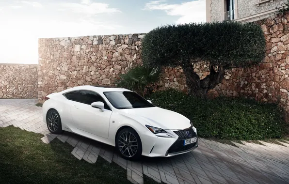 Wallpaper white, Lexus, Lexus, F-Sport for mobile and desktop, section