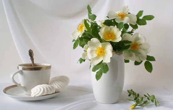 Picture flowers, tea, bouquet, petals, Cup, vase, still life, saucer