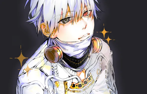 Look, guy, Tokyo ghoul, The Kaneko Ken