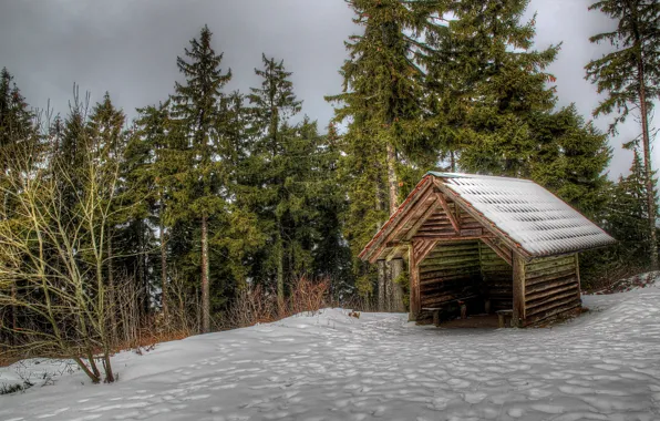 Picture winter, forest, snow, trees, Germany, house, Oppenau