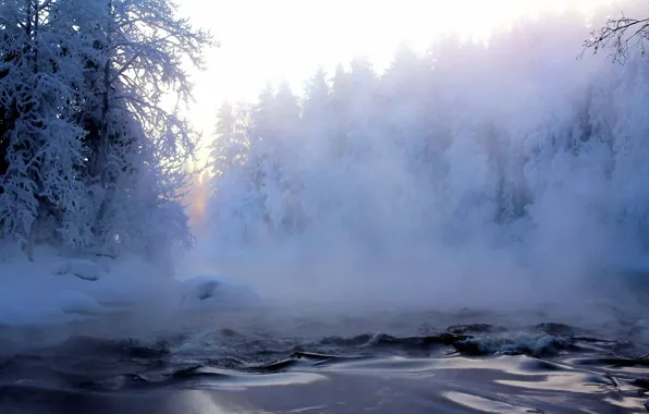 Picture frost, forest, snow, trees, fog, river, Winter, haze