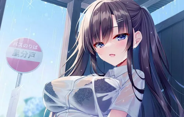 Picture girl, lingerie, bra, rain, long hair, boobs, anime, beautiful