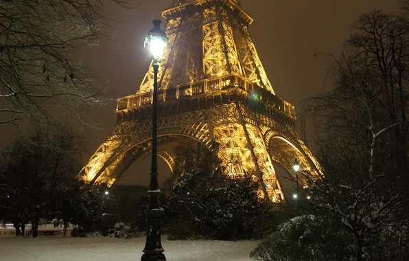 Trees, night, city, the city, lights, lights, France, Paris