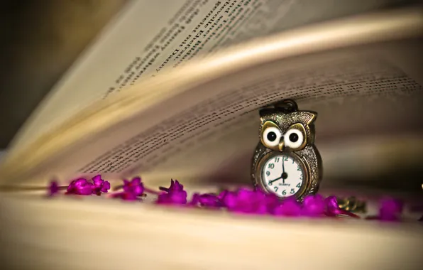 Picture flowers, owl, watch, pendant, book, page, lilac