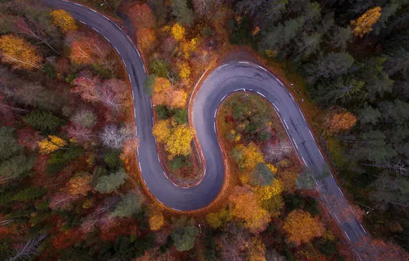 Road, autumn, forest, nature, the view from the top