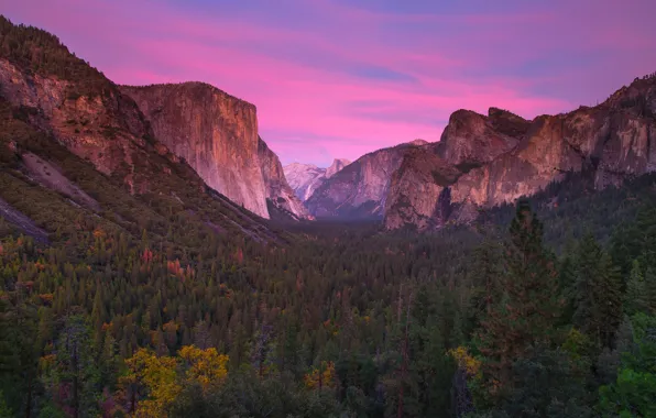 Forest, the sky, mountains, CA, glow, USA, Yosemite National Park