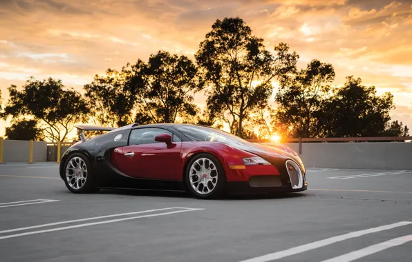 Picture Tuning, Metallic, BUGATTI, 2008-12, Roadster North America, Veyron Grand Sport