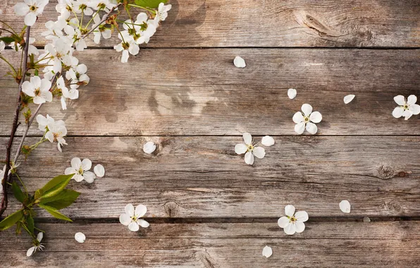 Flowers, Spring, Flowers, Spring, Wooden Background, Wooden Background