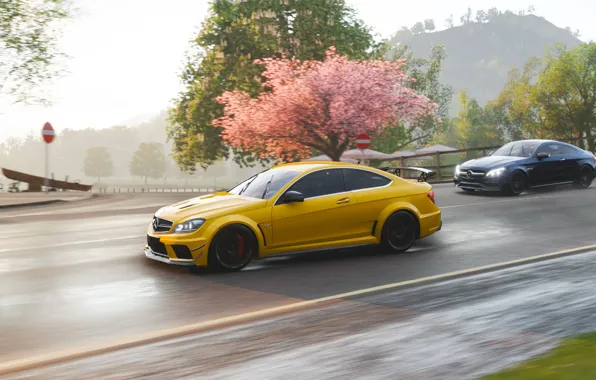 Mercedes-Benz, Microsoft, AMG, Coupe, 2018, C63, Forza Horizon 4