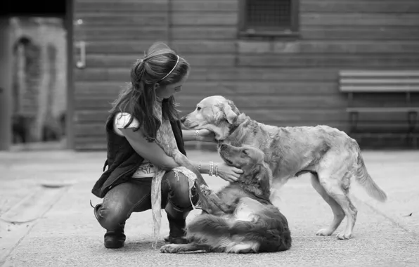 Dogs, girl, devotion, black and white, friendship, plays, frendship