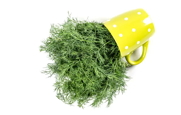 Dill, mug, white background